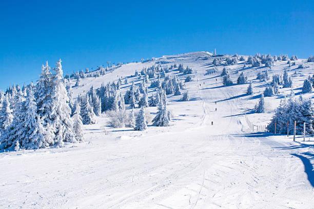 Vista Kopaonik Milmari Studio P22 المظهر الخارجي الصورة