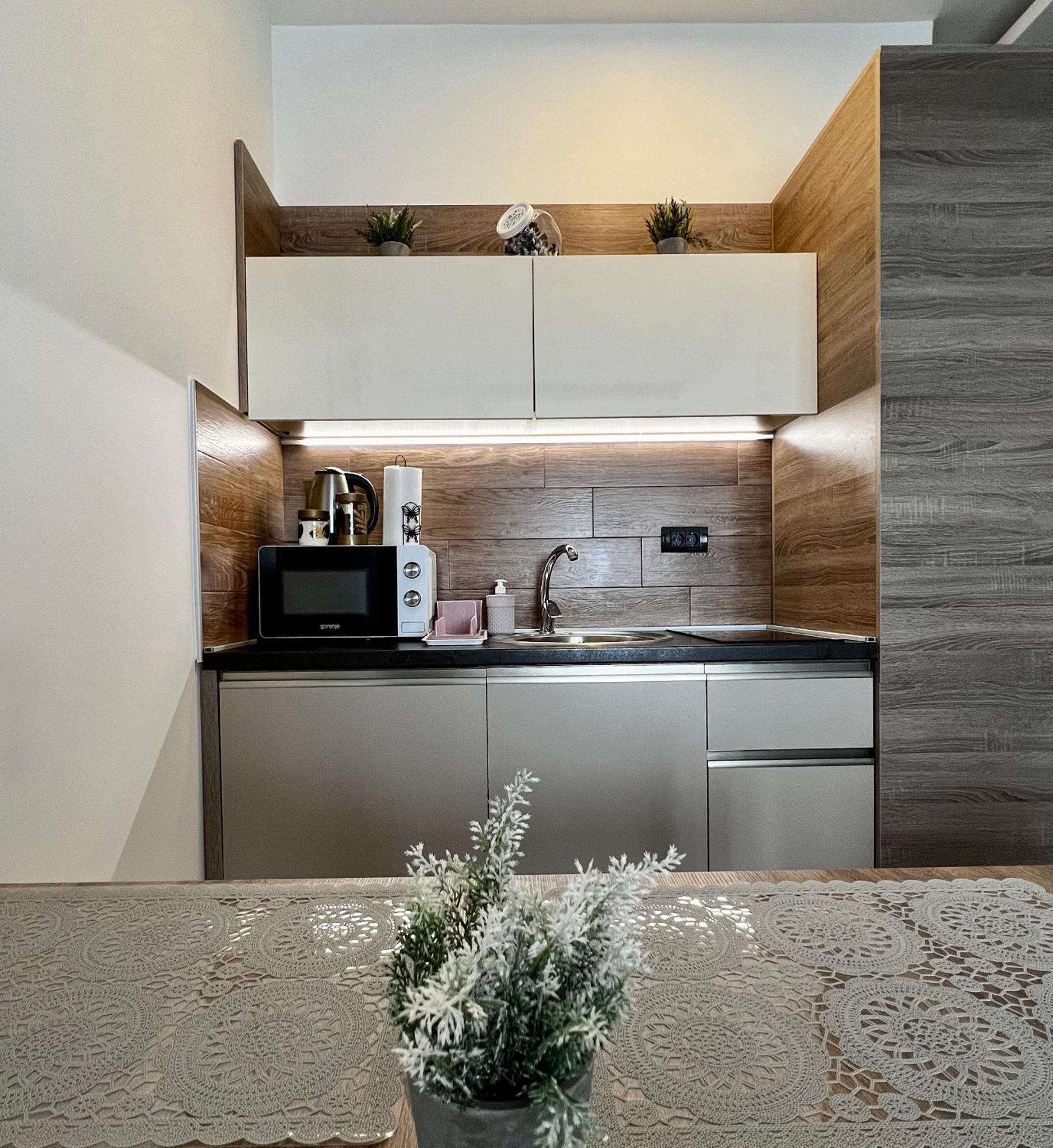 Vista Kopaonik Milmari Studio P22 المظهر الخارجي الصورة