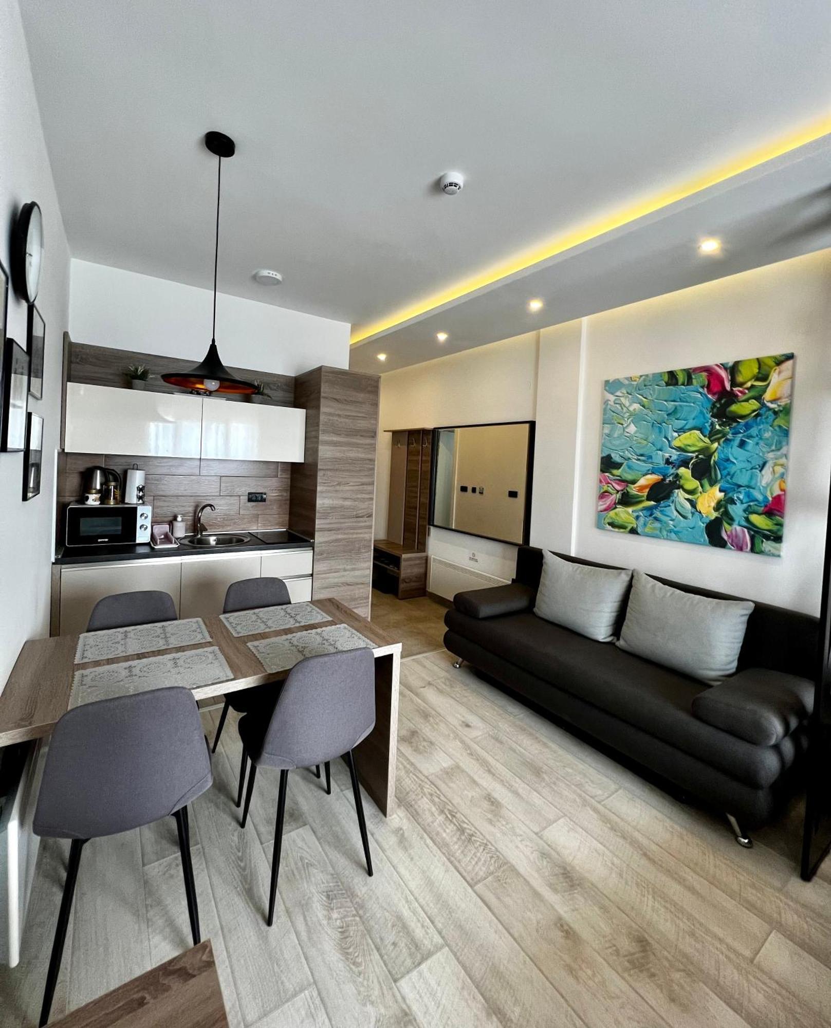 Vista Kopaonik Milmari Studio P22 المظهر الخارجي الصورة